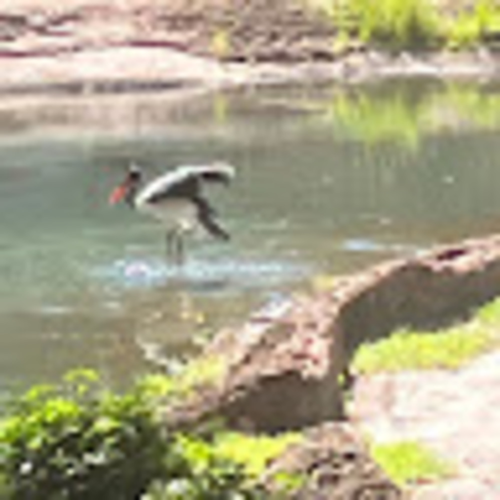 Meet your Posher, Rayce